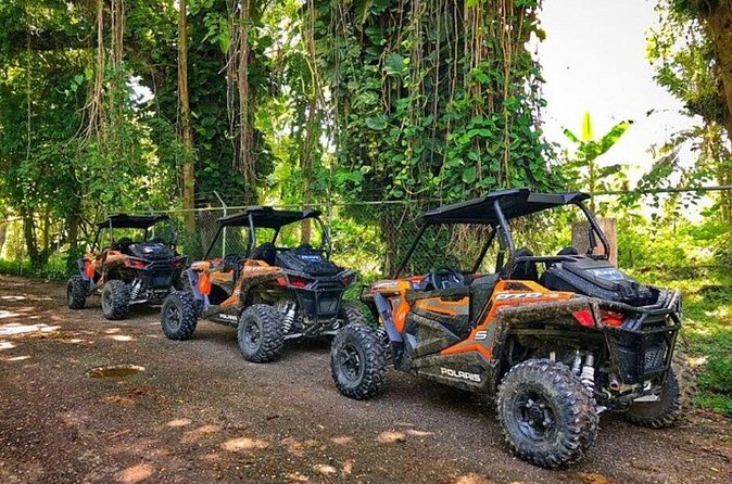 Rastafari Cultural ATV Community Experience from Negril - The people make the difference