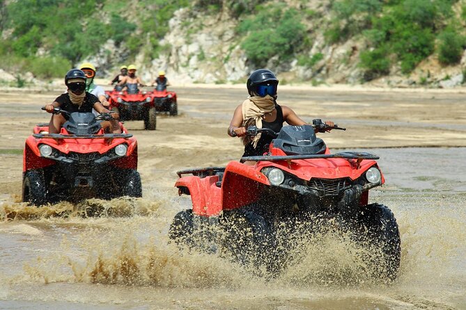 Real Baja ATV Tour – Ride Cabo's Desert, Beach & Taste Tequila - Should you book the Real Baja ATV Tour?
