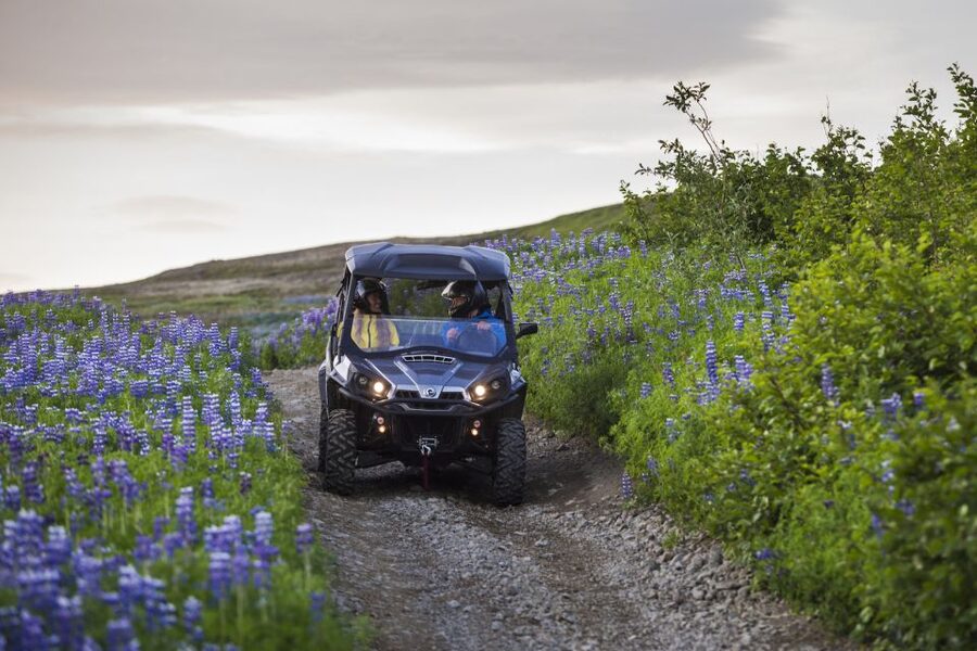 Reykjavik: Buggy Safari Tour with Hotel Transfers - Should you book the Safari buggy tour?