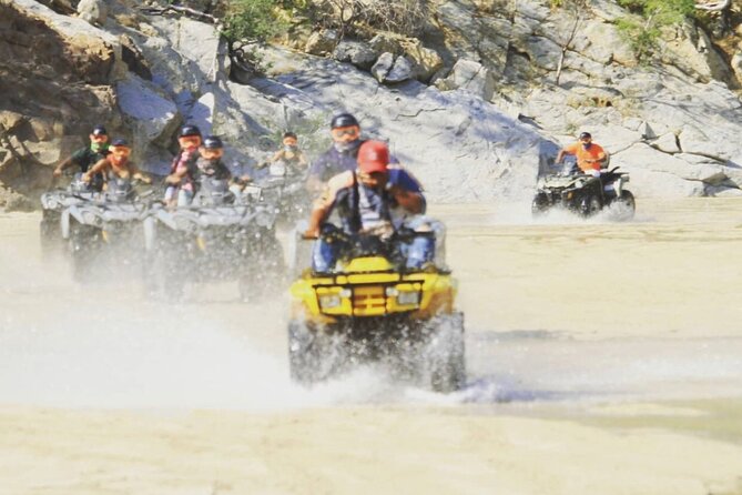Ride through Bajas wild beauty—from desert trails to ocean views. - Key points to know before you ride