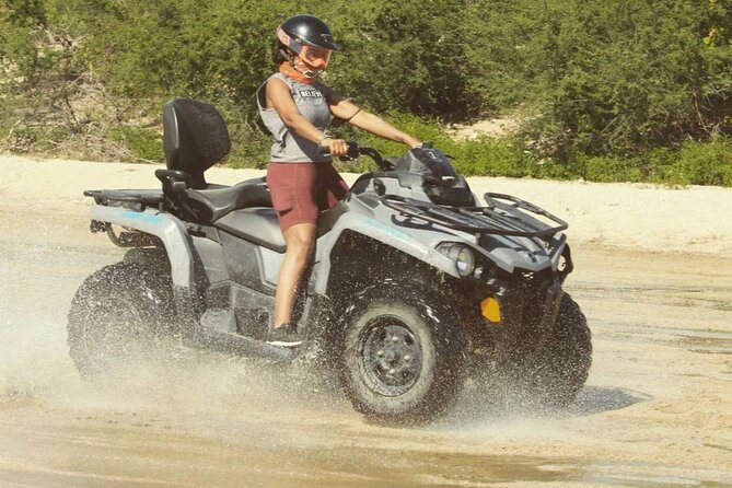 Ride through Bajas wild beauty—from desert trails to ocean views. - What the ride feels like in practice