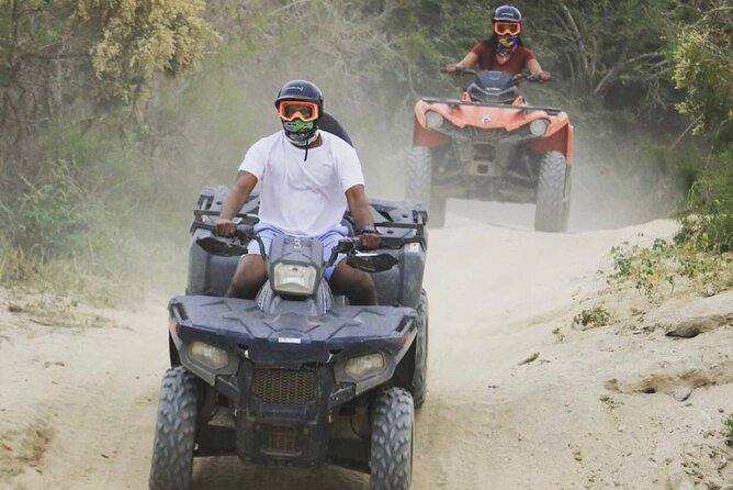 Ride through Bajas wild beauty—from desert trails to ocean views. - Price, fees, and what you receive