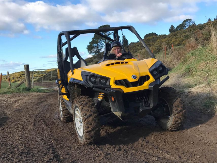 Rotorua: 4×4 Self-Drive Buggy Tour Through Farm and Bushland - What the 60-minute Rotorua buggy tour feels like