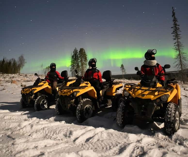 Rovaniemi: Northern Lights Quad Bike Tour - Blueberry juice, gingerbread, and grilled salmon