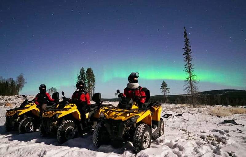 Rovaniemi: Northern Lights Quad Bike Tour - Is $210 per person fair?