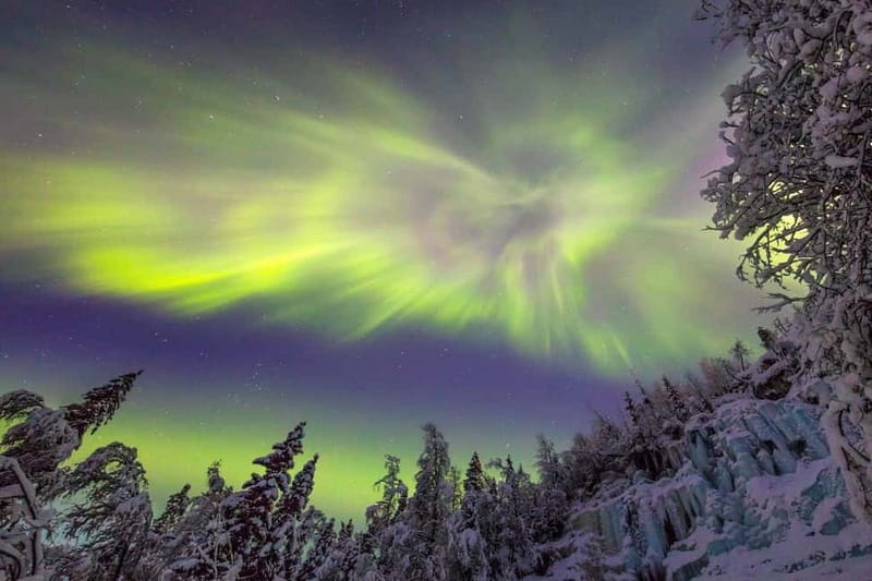 Rovaniemi: Northern Lights Quad Bike Tour - Who will enjoy this tour most?