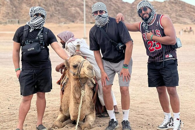 Safari 5 in 1 Quads, Camels, Show, Dinner & Star Gazing in Sharm El Sheikh - Hotel pickup and the quad center