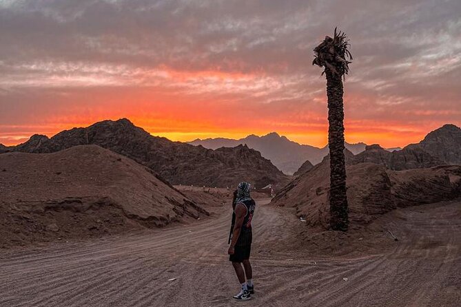 Safari 5 in 1 Quads, Camels, Show, Dinner & Star Gazing in Sharm El Sheikh - Safety, comfort, and practical concerns