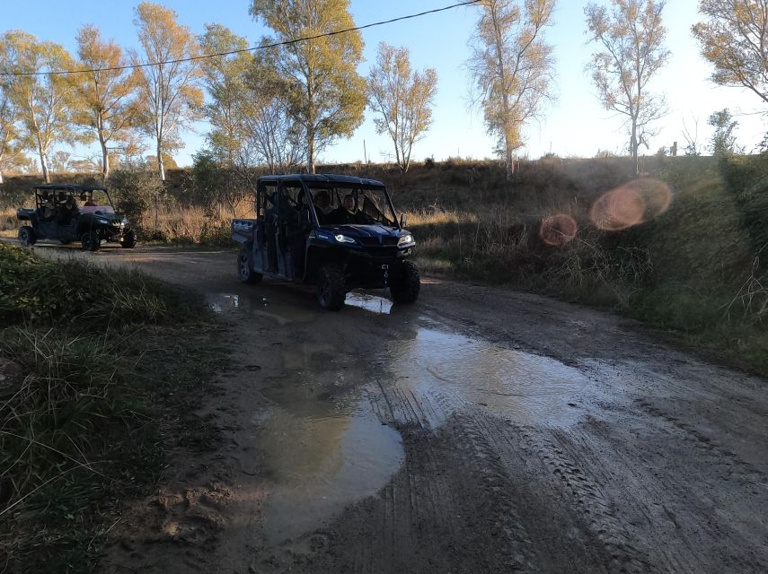Salou: Kid's Buggy Driving Experience in Safe Environment - Booking details that can save you trouble