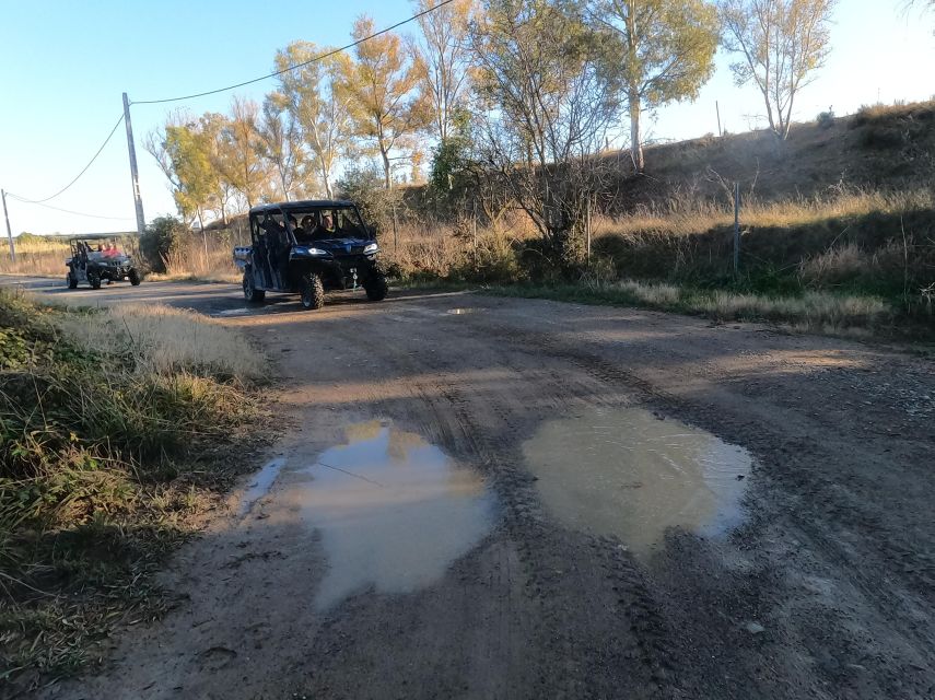 Salou: Kid's Buggy Driving Experience in Safe Environment - Sharing one buggy can affect the price