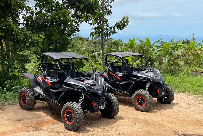 Samui X Quad 4WD Buggy Tour with Lunch - Who will enjoy this most?