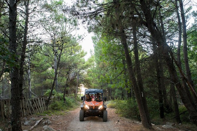 Self-drive Off Road Buggy - The 30-minute route through pine forest and dirt tracks