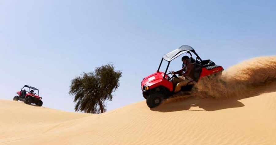 Sharm El-Sheikh: Desert Buggy Safari Adventure - Why this works well for families