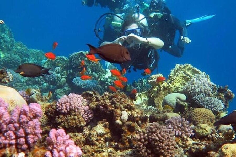 Sharm El-Sheikh: Parasailing, Camel Ride, Dive & Quad Bike - Hotel transport makes the packed schedule easier