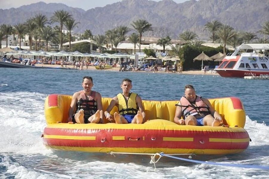 Sharm El-Sheikh: Parasailing, Camel Ride, Dive & Quad Bike - Who will enjoy this experience most?