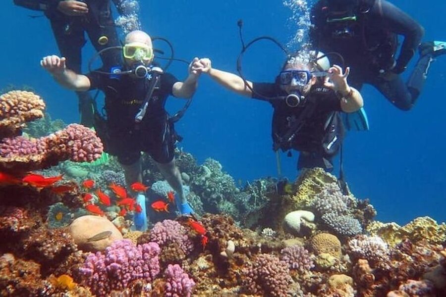 Sharm El-Sheikh: Parasailing, Camel Ride, Dive & Quad Bike - Starting with a quad-bike safari in the South Sinai desert