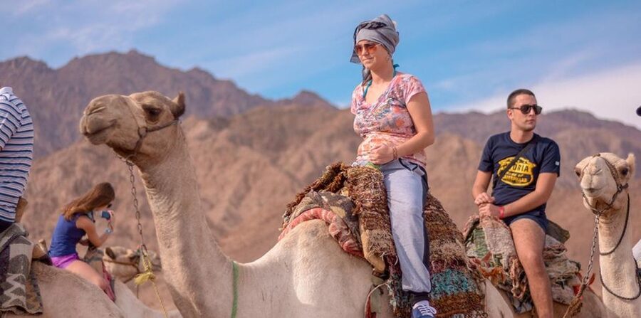 Sharm El Sheikh: Quad bike, Safari, Camel With Dinner & Show - Dinner beside the desert fire