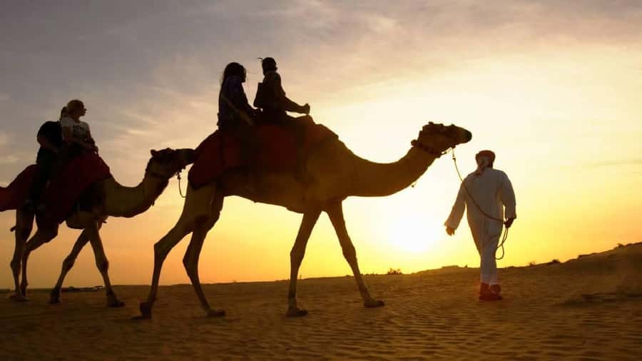 Sharm El Sheikh: Quad Biking, Camel Ride & Bedouin Dinner. - From Sharm El Sheikh to the Sinai desert