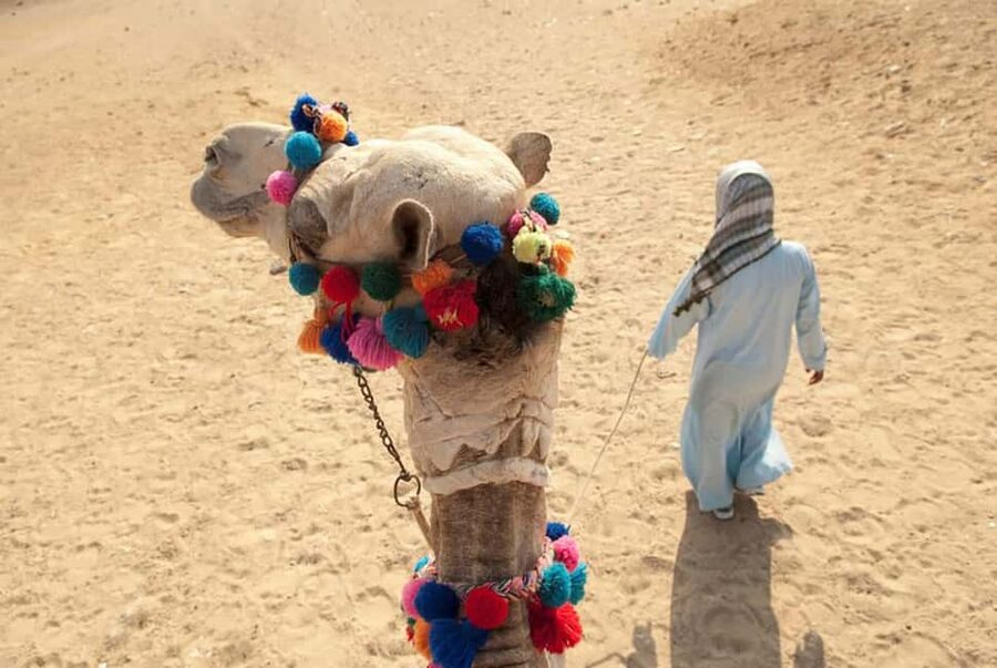 Sharm El-Sheikh: Ultimate ATV Quad, Stargazing & BBQ Dinner - Stargazing with an astronomer