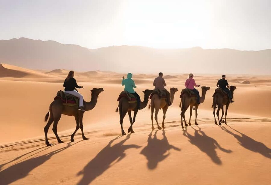 Sharm El-Sheikh: Ultimate ATV Quad, Stargazing & BBQ Dinner - How much value do you get for $35?