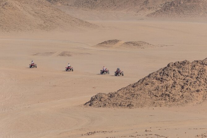 Sharm: Quad Bike or Car Buggy, Camel ride & optional VIP Bedouin Dinner & Show - Guides, communication, and staff