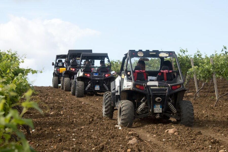 Sicily: Off-Road ATV Buggy Tour - The panoramic view of the Temple of Segesta