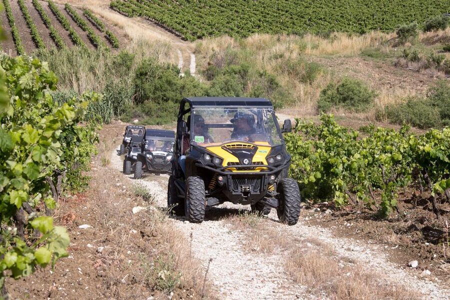 Sicily: Off-Road ATV Buggy Tour - Starting at Borgo di Bruca near Segesta