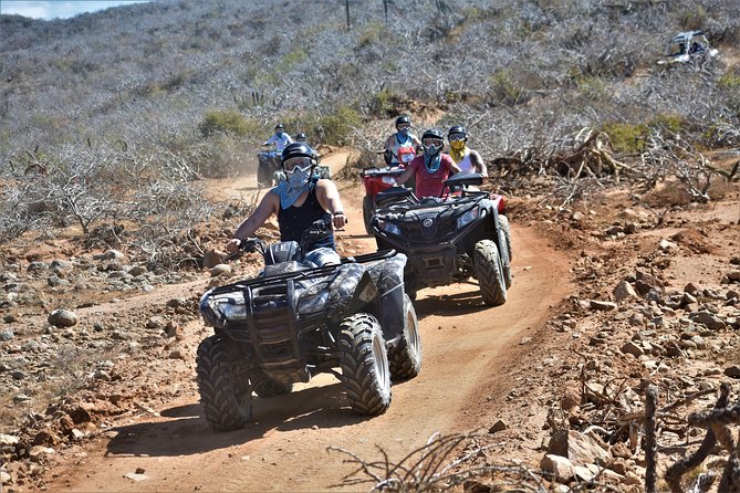 Single ATV Tour from Migriño Beach & Desert - Cactus country with more than 50 species