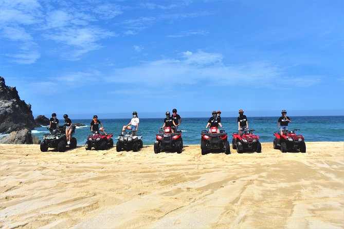 Single ATV Tour from Migriño Beach & Desert - Two rest stops and whale season
