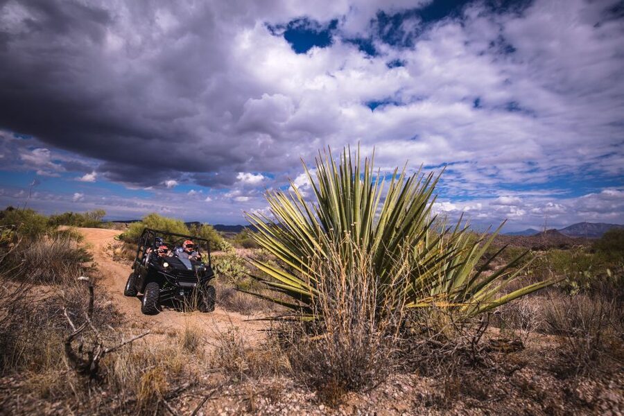 Sonoran Desert: Guided 2-Hour UTV Adventure - Practical details for your booking