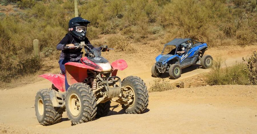Sonoran Desert: Guided UTV or ATV Desert Tour - What this desert ride is really like