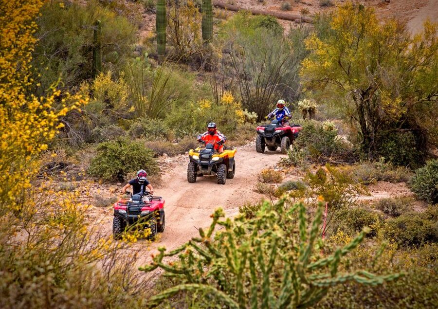 Sonoran Desert: Guided UTV or ATV Desert Tour - From I-17 to the New River meeting point