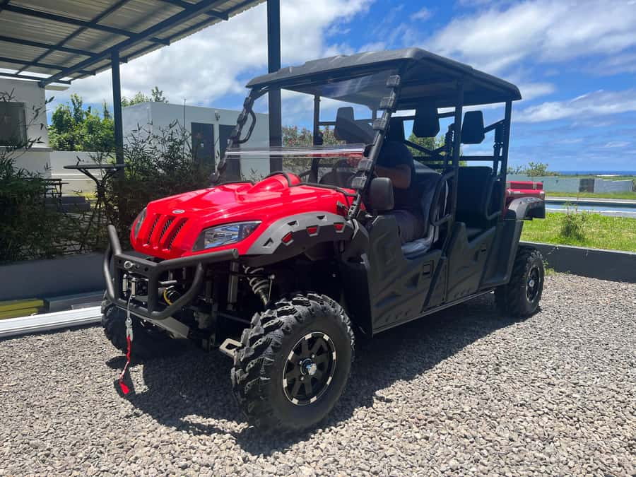 South Mauritius : Buggy Tour - Royal Palm Forest, shade and mosquitoes