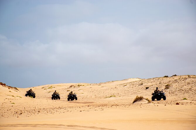 South of Boa Vista Adventure Explore the Desert by Quad - What the $187.31 price really gets you