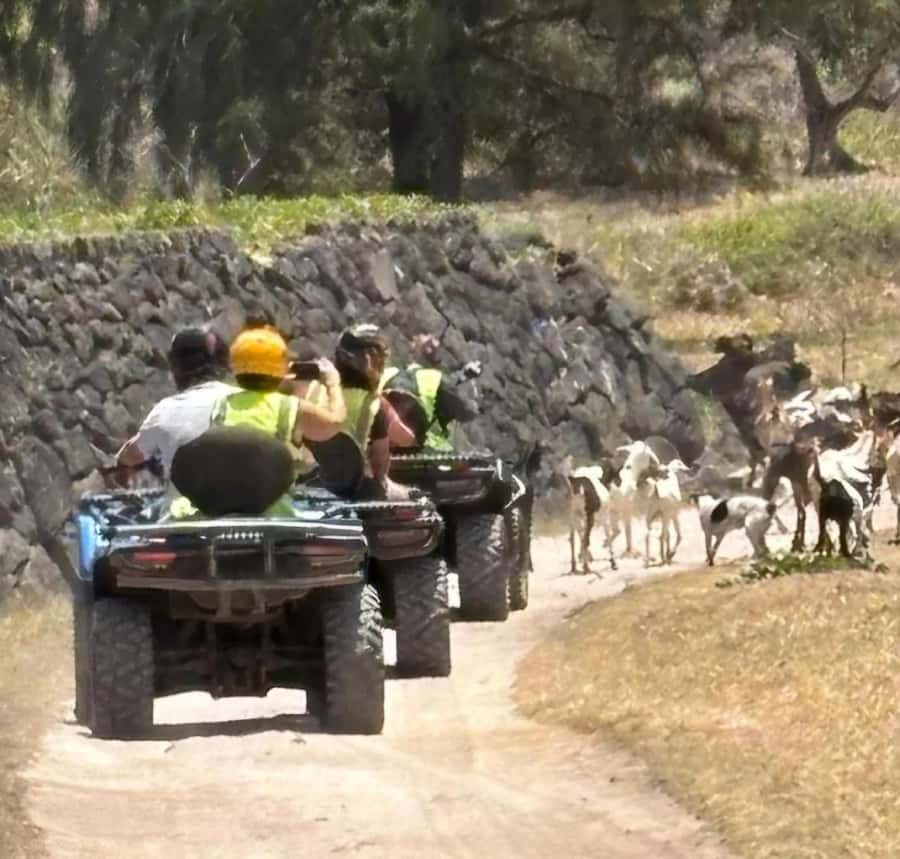South of Mauritius: Quad Bike Tour - Forest paths and Pointe Vacoas