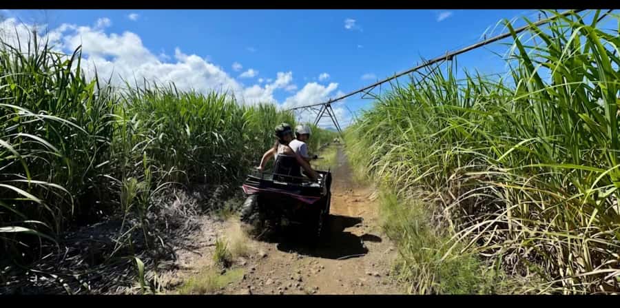 South of Mauritius: Quad Bike Tour - La Cambuse, Le Bouchon, and time in the water