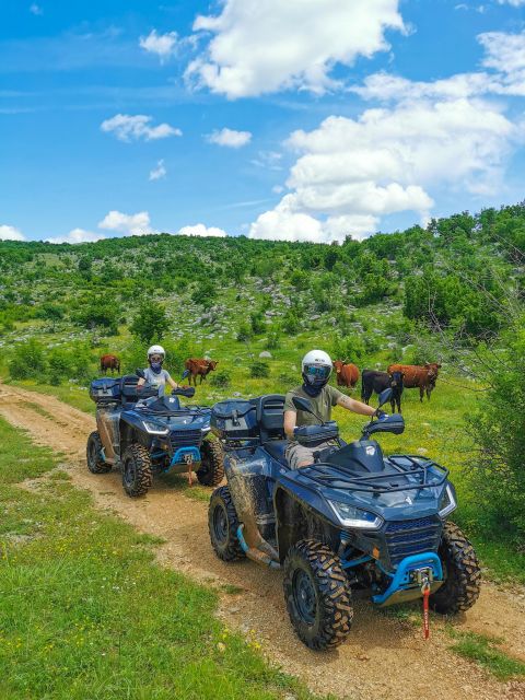 Split: Dalmatian Quad Tour with River Swimming & Picnic - Key points to know before booking