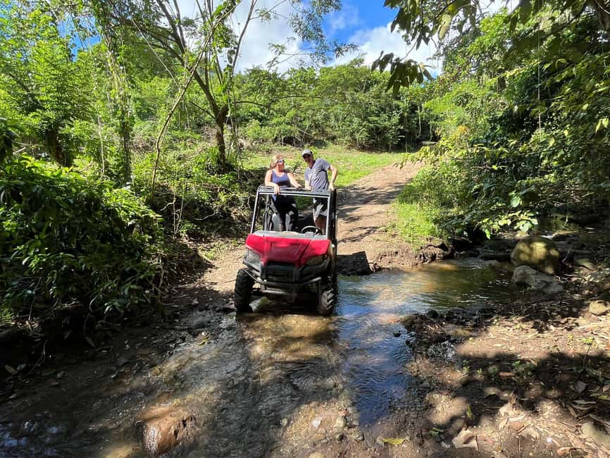St. Kitts:Countryside Dune Buggy Tour - Scenic stops for Mount Liamigua and the island’s interior