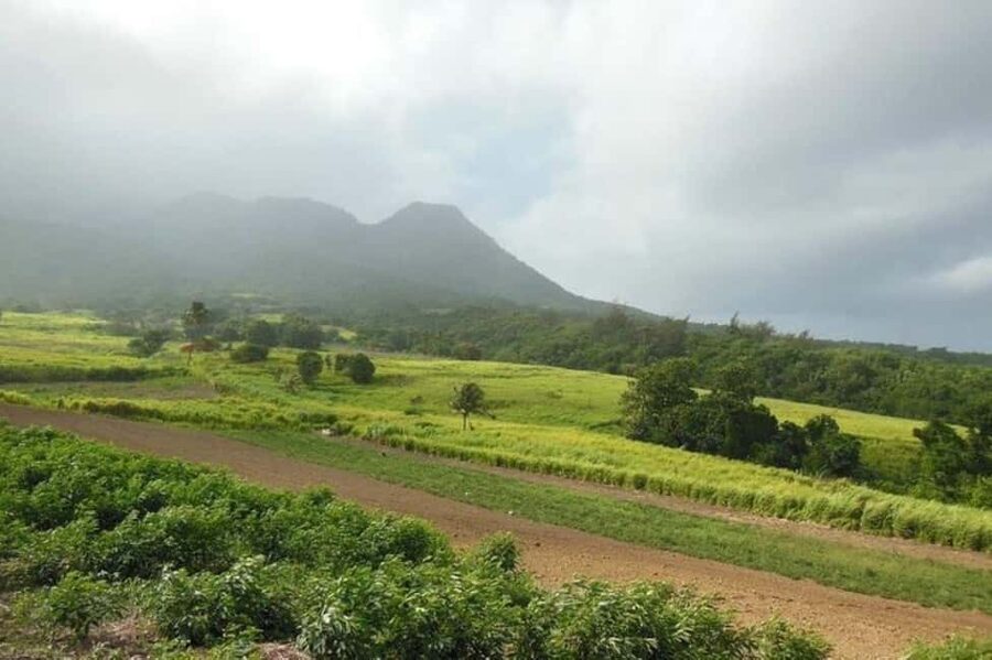 St Kitts: Jungle Bikes Off-Road ATV Tour - Rough hills, woods, and plenty of dust