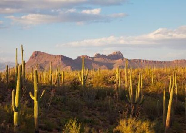 Sunset ATV/UTV 2 Person Sand Buggy Off-Road Tour Scottsdale - Key points to know before booking