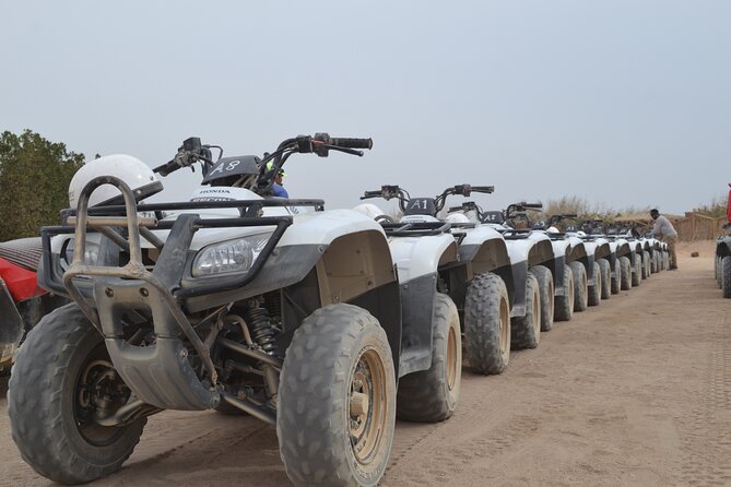 Super Safari ATV, Drive Buggy Car, Camel Ride, Bedouin Dinner, Show-Hurghada - The bumpy jeep ride to the Bedouin village