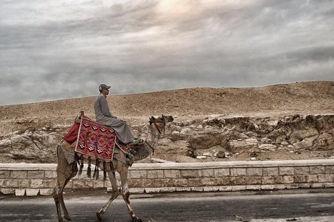 Super Safari ATV, Drive Buggy Car, Camel Ride, Bedouin Dinner, Show-Hurghada - Bedouin tea, desert remedies, and village life