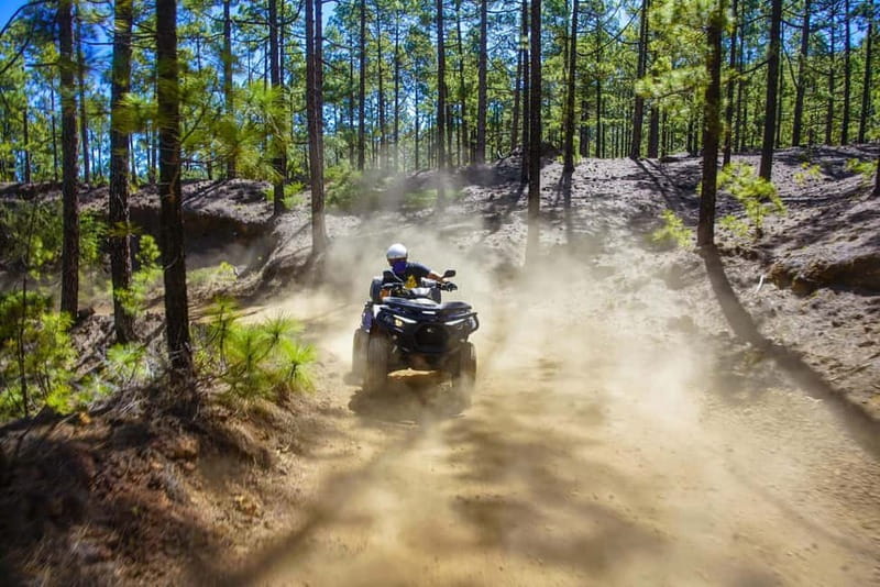 Teide Quad Tour - Tenerife - Volcanic views, pine forests, and the road to Teide
