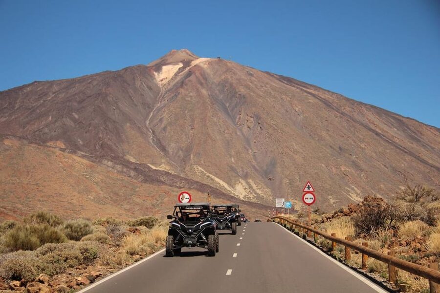 Tenerife: Morning or Sunset Teide Buggy Tour - Teide National Park and its unusual plants