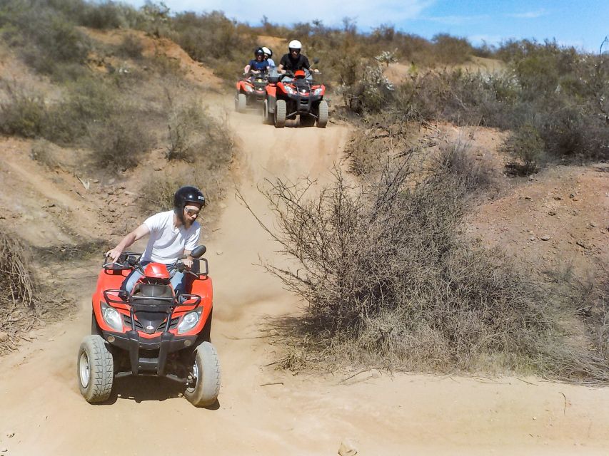 Tenerife: Quad Adventure Tour in Teide National Park - Price, group size, and value