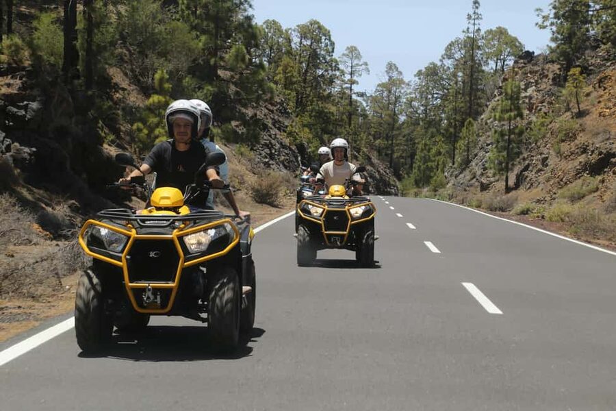 Tenerife: Quad Day Trip Teide National Park - Key points to know before you book