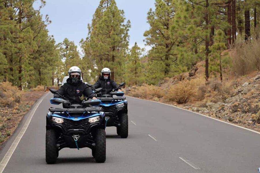 Tenerife: Quad Day Trip Teide National Park - Riding through La Zapatilla de la Reina and Chío Pine Forest