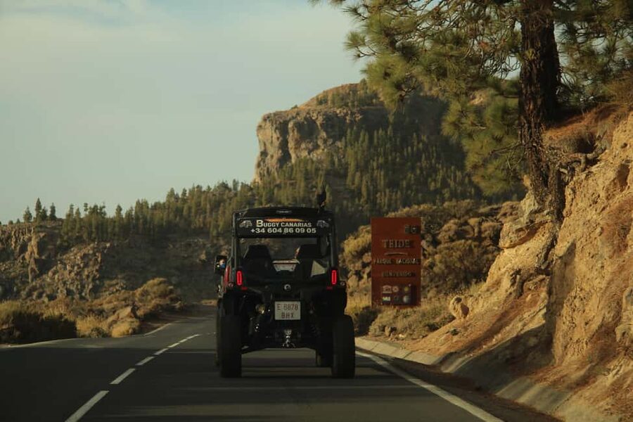 Tenerife: Sunset - 3H Buggy tour of Teide - Teide National Park and the island’s wild plants