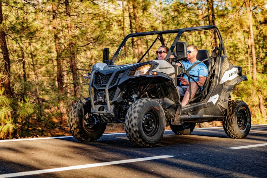 Tenerife: Teide Mountain Buggy On-Road GuidedTour with drink - Key points to know before you book