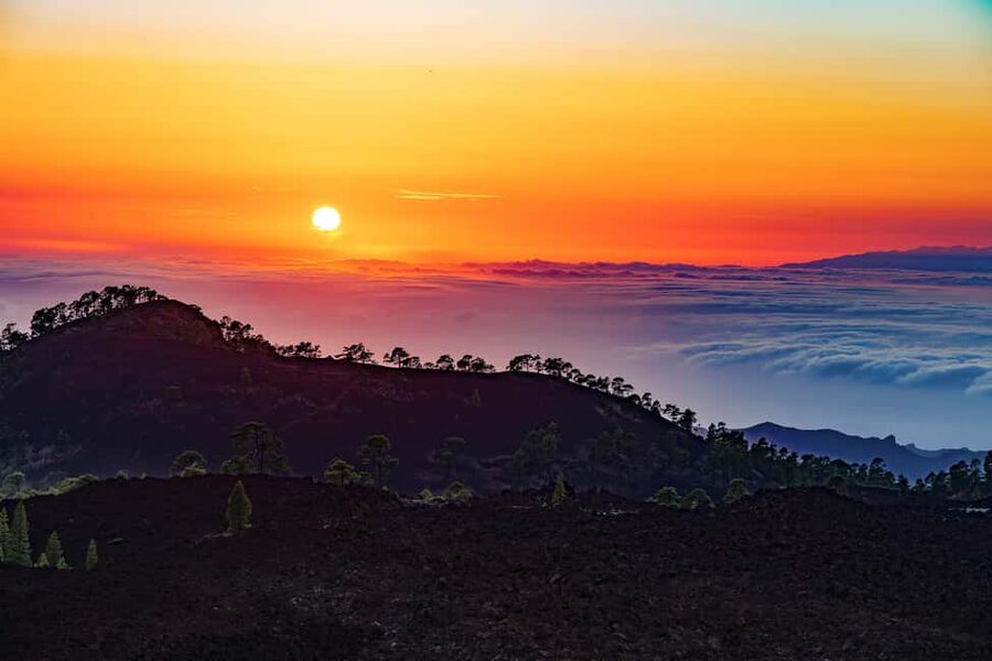 Tenerife: Teide Mountain Buggy On-Road GuidedTour with drink - From pine forest to volcanic rock
